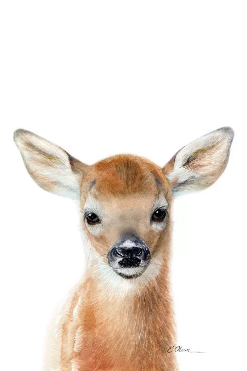 Baby Deer Fawn by Watercolor Luv wall art