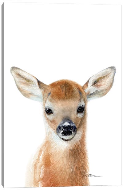 Baby Deer Fawn Canvas Art Print - Watercolor Luv