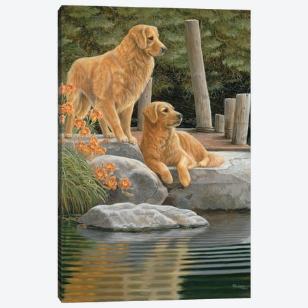 Companions-Golden Retrievers Canvas Print #WML10} by Mia Lane Art Print