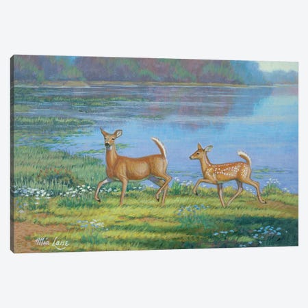 Following In Her Footsteps II-Whitetail Deer Canvas Print #WML14} by Mia Lane Canvas Artwork