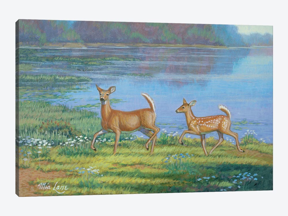 Following In Her Footsteps II-Whitetail Deer by Mia Lane 1-piece Canvas Art