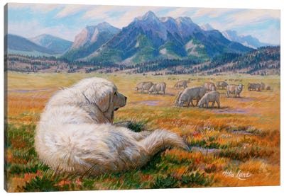 He Watches Over Me-Great Pyrenees Canvas Art Print