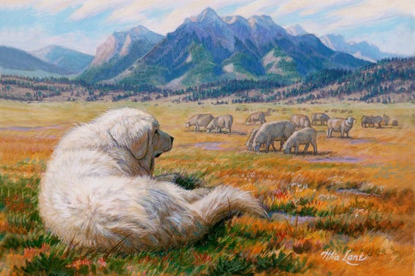 Great Pyrenees