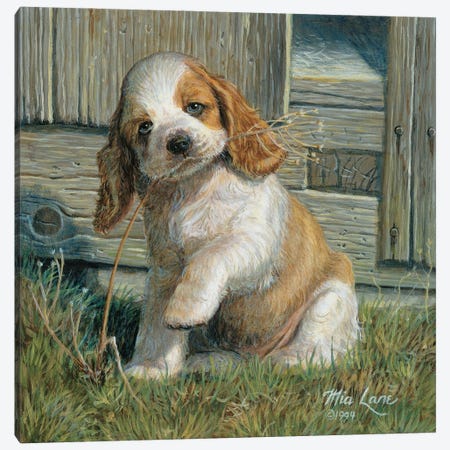 A Is For Adorable-Cocker Spaniel Canvas Print #WML1} by Mia Lane Canvas Wall Art