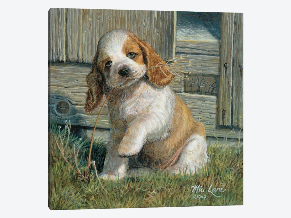 A Is For Adorable-Cocker Spaniel by Mia Lane 1-piece Canvas Art Print
