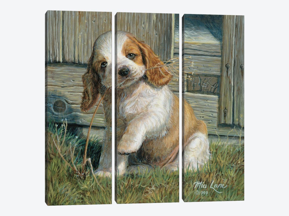 A Is For Adorable-Cocker Spaniel by Mia Lane 3-piece Canvas Print