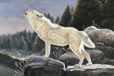 Heavenly Songs-Wolf by Mia Lane framed canvas print