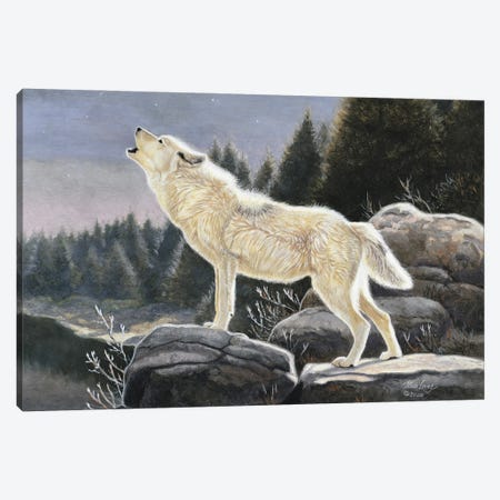 Heavenly Songs-Wolf Canvas Print #WML20} by Mia Lane Canvas Wall Art