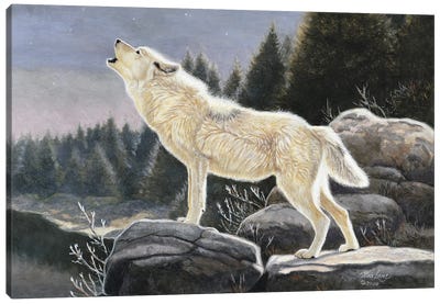 Heavenly Songs-Wolf Canvas Art Print - Mia Lane