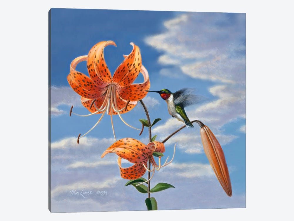 Hummingbird With Lillies by Mia Lane 1-piece Canvas Print
