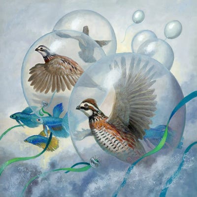 Illusions Of Freedom by Mia Lane framed canvas print