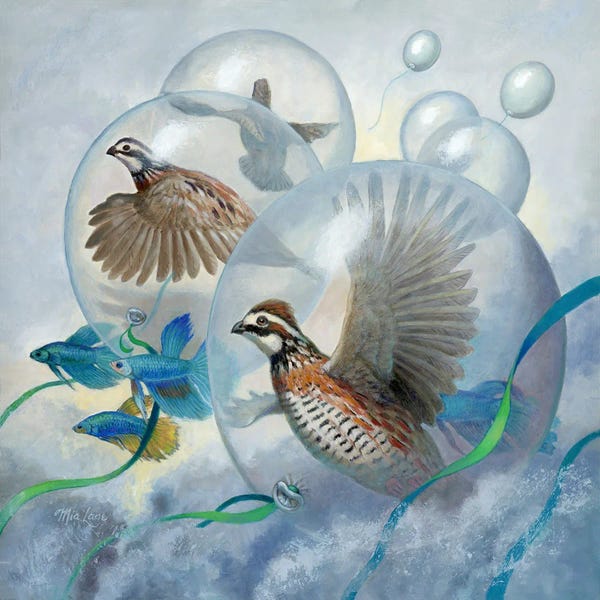 Balloons: Illusions Of Freedom by Mia Lane