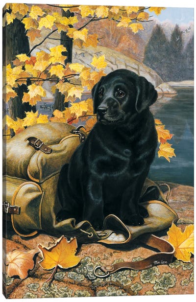 Knapsack Buddy-Black Lab Canvas Art Print - Labrador Retriever Art