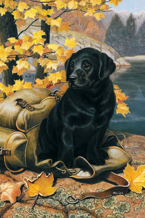 Knapsack Buddy-Black Lab by Mia Lane wall art