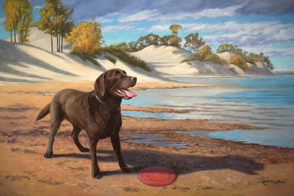Coastal Sand Dunes: Lab With Frisbie by Mia Lane