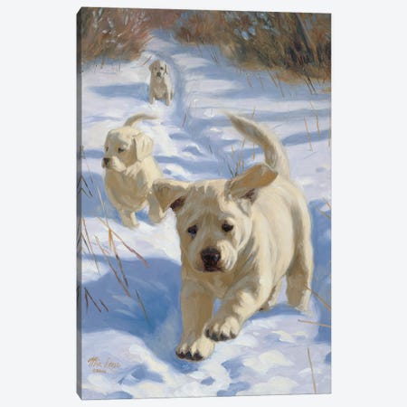 Left Behind-Yellow Labs Canvas Print #WML28} by Mia Lane Canvas Art