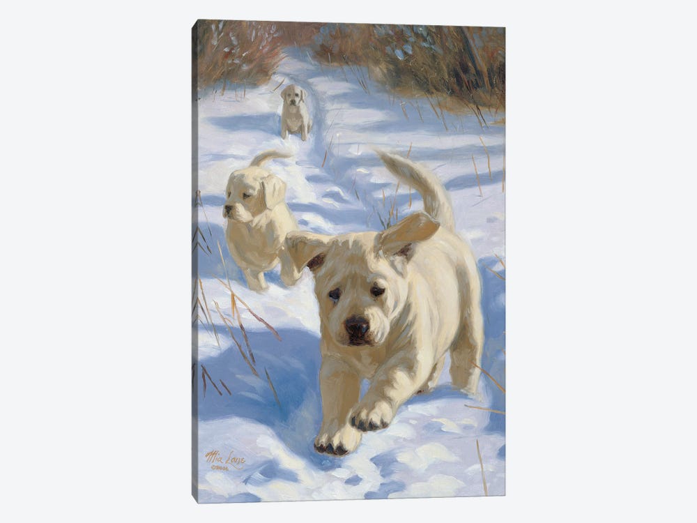 Left Behind-Yellow Labs by Mia Lane 1-piece Canvas Print