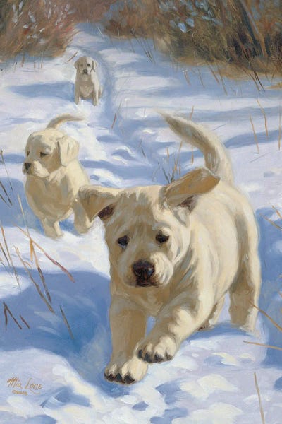 Labrador Retrievers: Left Behind-Yellow Labs by Mia Lane