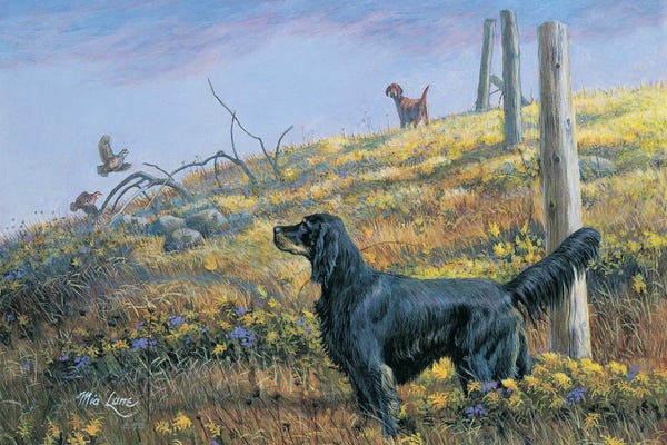 Quails: Looking Back-Gordon And Irish Setter by Mia Lane