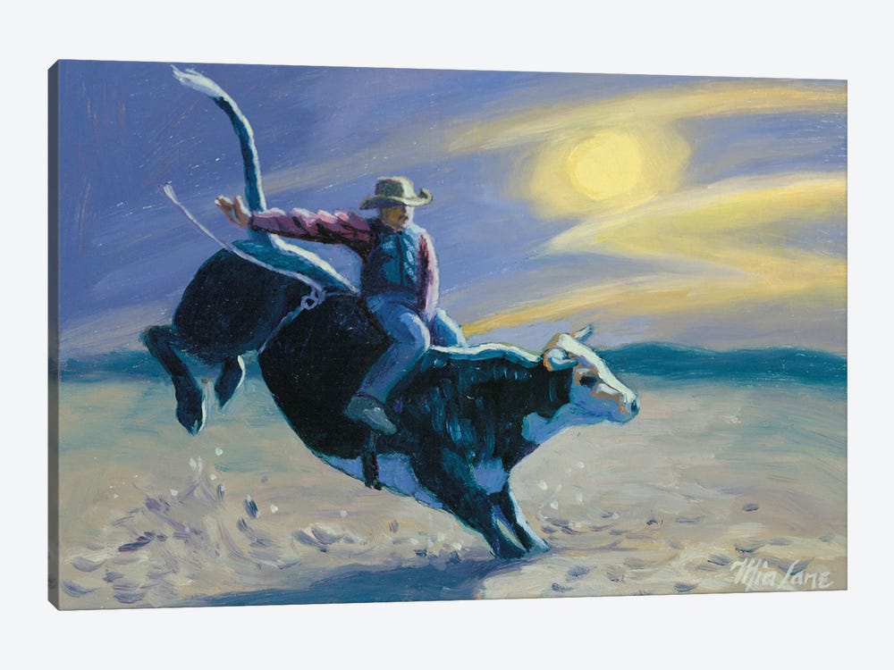 Midnight Cowboy by Mia Lane 1-piece Canvas Print