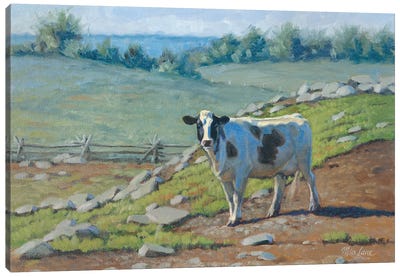 Milk Factory At East-Holstein Cow Canvas Art Print - Mia Lane