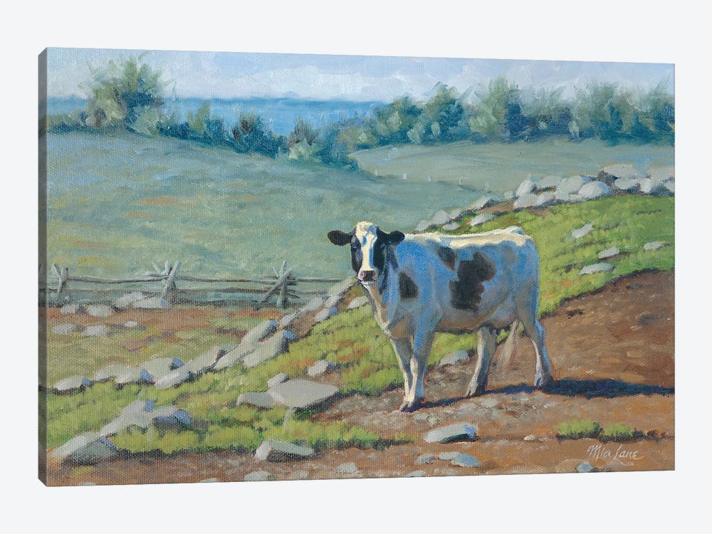 Milk Factory At East-Holstein Cow by Mia Lane 1-piece Canvas Wall Art