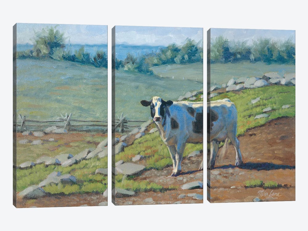 Milk Factory At East-Holstein Cow by Mia Lane 3-piece Canvas Artwork