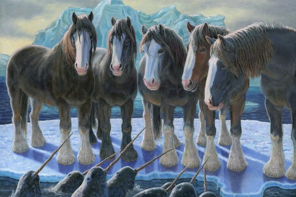 Narwhals: Opportunity-Shires And Narwhals by Mia Lane