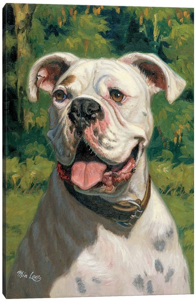 Portrait Of Ike-White Boxer Canvas Art Print - Boxer Art