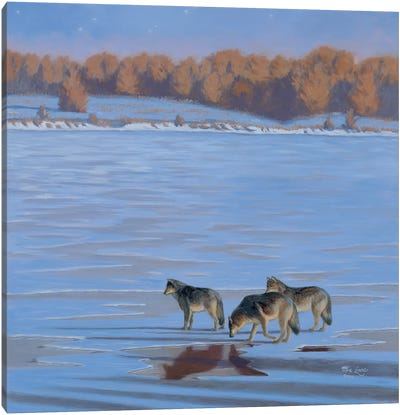Relentless Pursuit-Wolves Canvas Art Print - Mia Lane