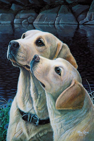 Set Your Affections-Yellow Labs by Mia Lane framed canvas print