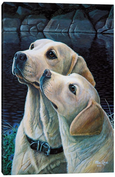 Set Your Affections-Yellow Labs Canvas Art Print - Mia Lane