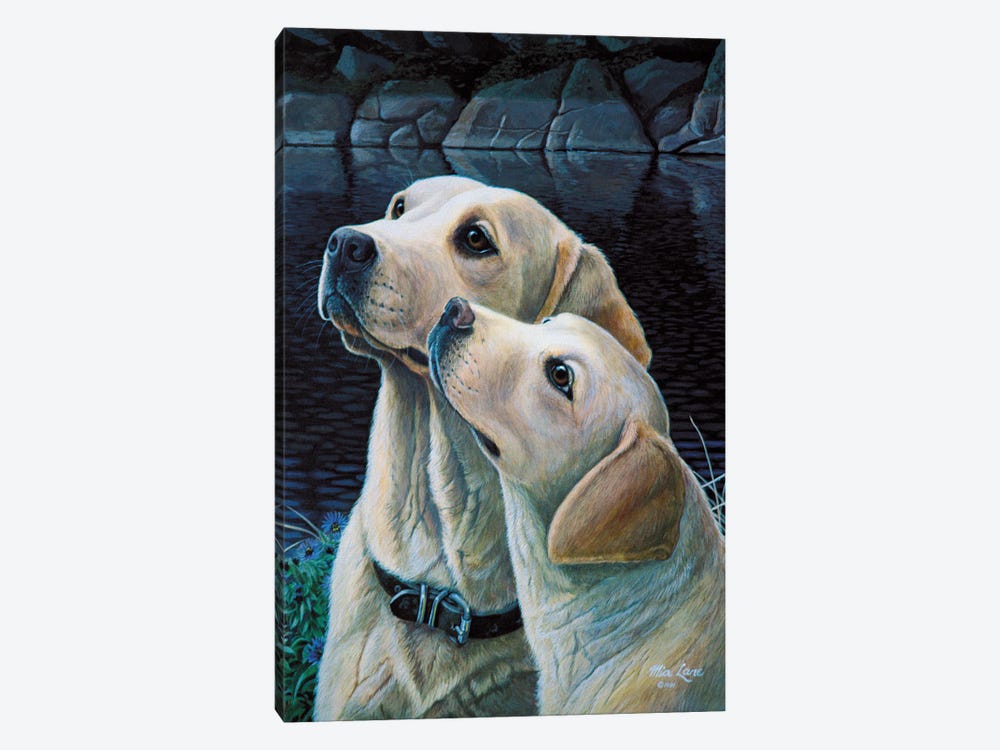 Set Your Affections-Yellow Labs by Mia Lane 1-piece Canvas Wall Art