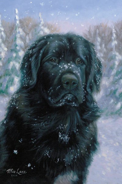 Lakehouse Décor: Snow Freckles-Newfoundland by Mia Lane