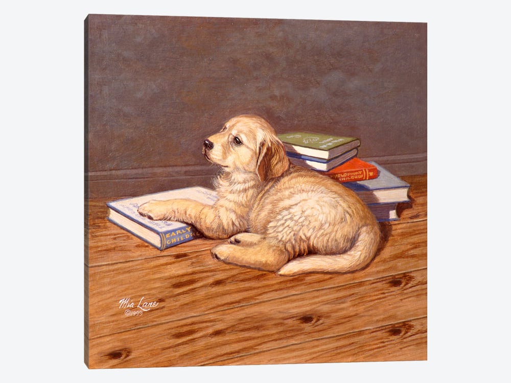 So Much To Learn-Golden Retriever by Mia Lane 1-piece Canvas Print