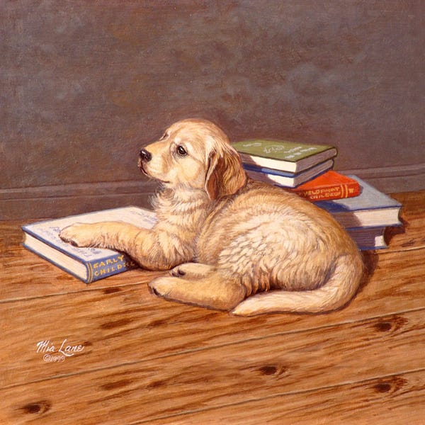 Golden Retrievers: So Much To Learn-Golden Retriever by Mia Lane