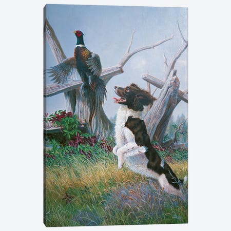 Springer With Pheasant Canvas Print #WML45} by Mia Lane Canvas Print