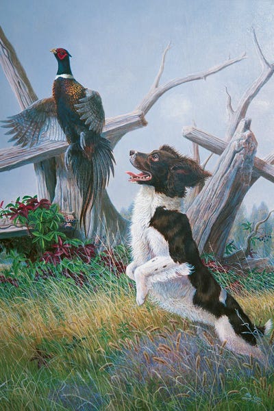 English Springer Spaniels: Springer With Pheasant by Mia Lane