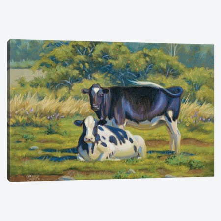 The Easy Life-Holsteins Canvas Print #WML47} by Mia Lane Canvas Art Print