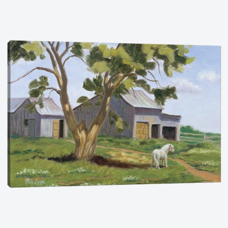 The Horse From Lilliput-Miniature Horse Canvas Print #WML49} by Mia Lane Canvas Art