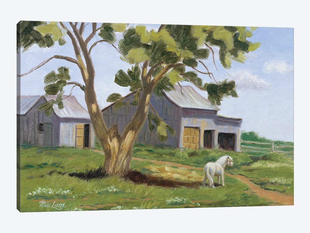 The Horse From Lilliput-Miniature Horse by Mia Lane 1-piece Canvas Artwork