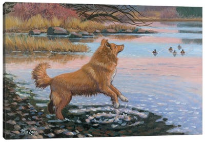 The Red Lure-Nova Scotia Duck Tolling Retriever Canvas Art Print - Labrador Retriever Art