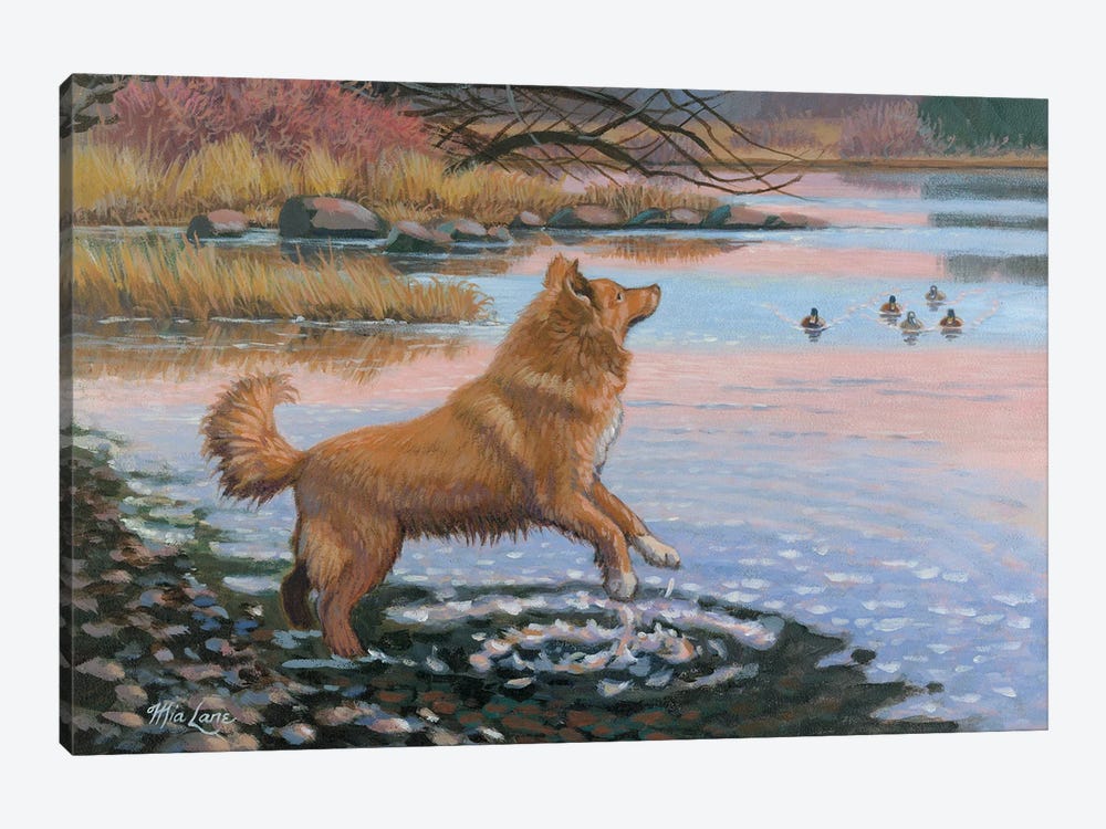 The Red Lure-Nova Scotia Duck Tolling Retriever by Mia Lane 1-piece Canvas Art