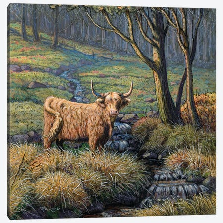 Time To Reflect-Highland Cow Canvas Print #WML51} by Mia Lane Canvas Print