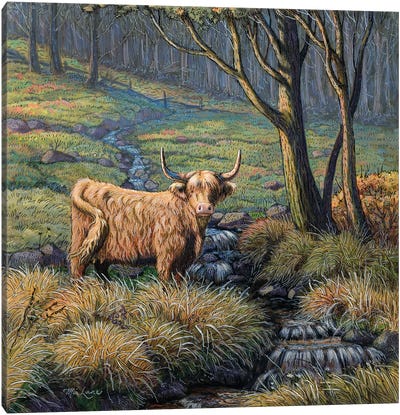 Time To Reflect-Highland Cow Canvas Art Print - Lakehouse Décor