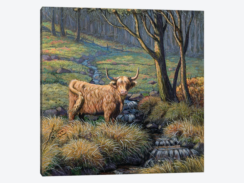 Time To Reflect-Highland Cow by Mia Lane 1-piece Art Print