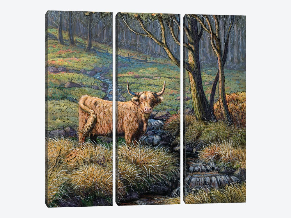 Time To Reflect-Highland Cow by Mia Lane 3-piece Canvas Print