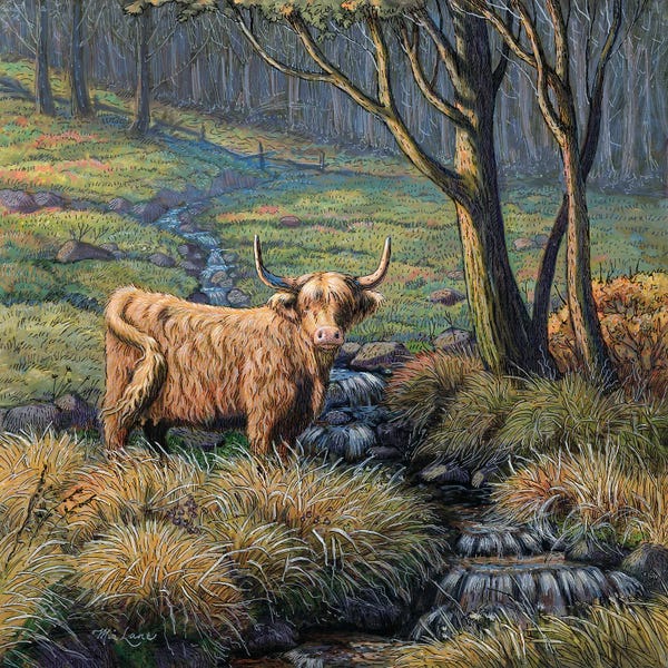 Lakehouse Décor: Time To Reflect-Highland Cow by Mia Lane