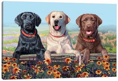 Two Paws Up- Three Labs Over Flowers Canvas Art Print - Mia Lane