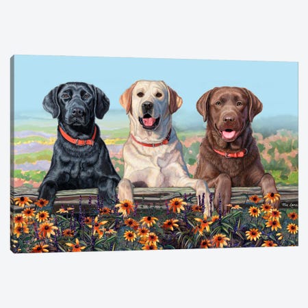 Two Paws Up- Three Labs Over Flowers Canvas Print #WML52} by Mia Lane Canvas Art Print